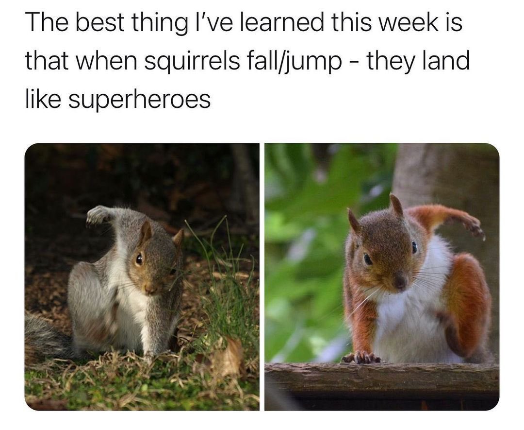 This! This has made my freaking day!