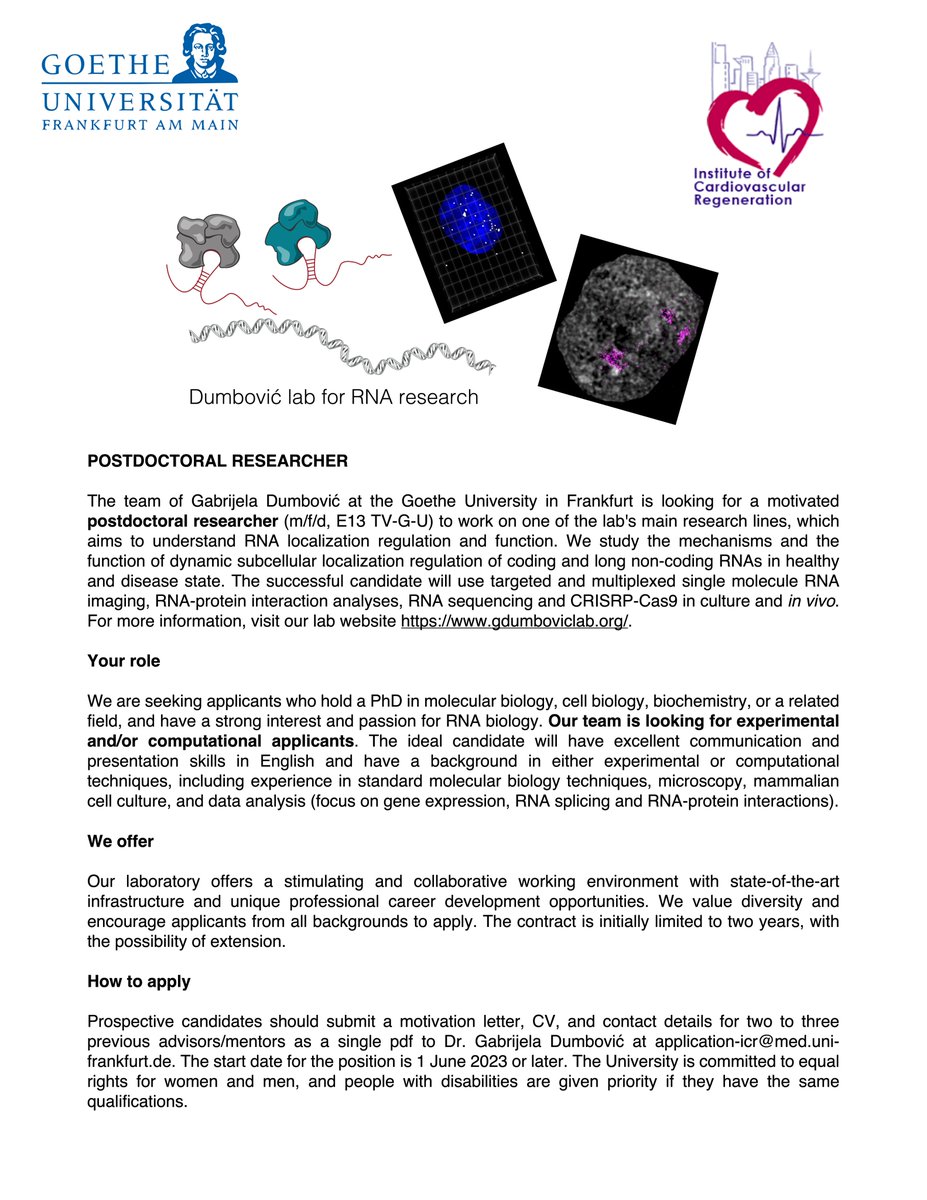 Gabrijela_D's tweet photo. 📢 We are looking for a postdoctoral researcher to study RNA biology and molecular mechanisms regulating RNA function. If you are passionate about research in this area, we want to hear from you!
👉Check our website for more information and how to apply! https://t.co/eLv60R0xS1 https://t.co/ETb42CRcx7