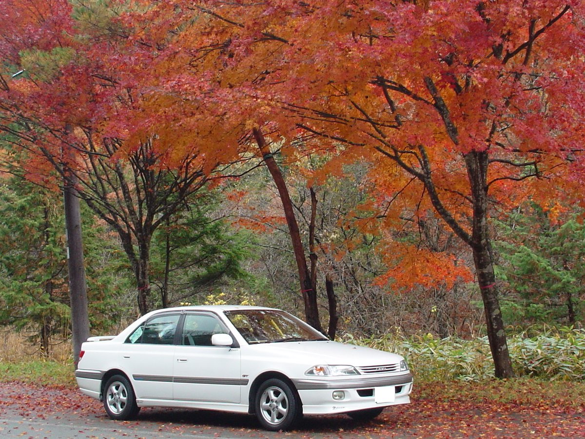 AT210CARINAGT's tweet image. #車好きとして軽く自己紹介
#車好きな人と繋がりたい 
#トヨタ
#カリーナ
#ゆきすと

名前   高山の（秋）山さん
性別   非公表（まあ、だいたい分かるっしょｗ）
年齢   〇〇代（年齢不詳　「永遠の17歳」？ｗｗｗ）
住所   岐阜県高山市
車種   AT210型カリーナ1600GTピエルナ