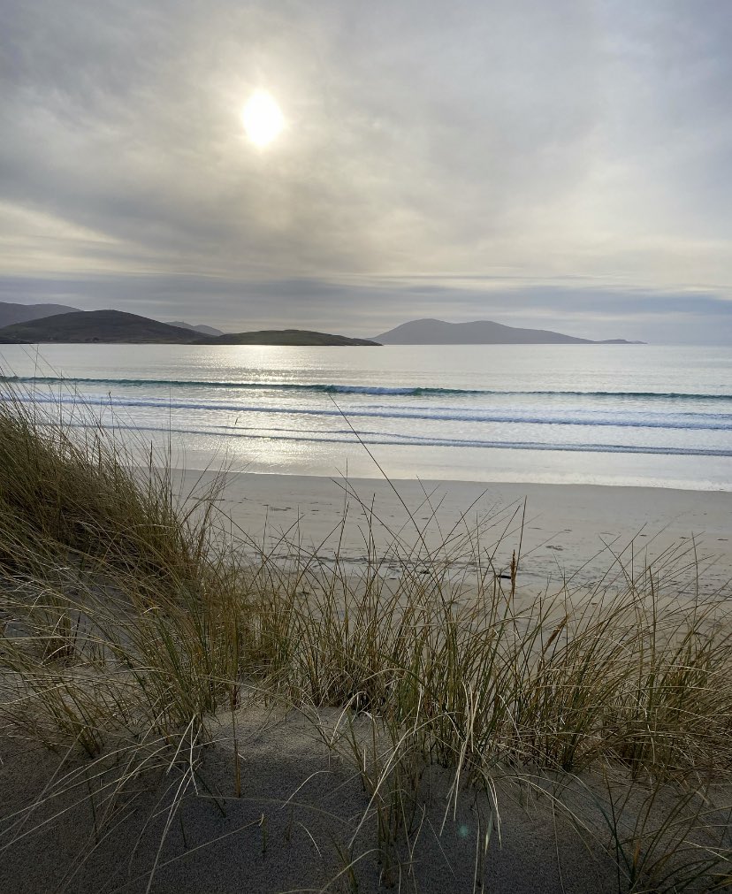 Luskentyre 💛
#luskentyre #luskentyrebeach #isleofharris #outerhebrides #westernisles #visitouterhebrides #scottishbeaches #scottishislands #ukbeaches #scotlandshots #scotlandexplore #scotlandtravel #beaches #explorescotland