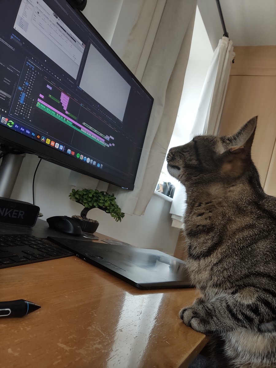 PeterNelsonFilm's tweet photo. 1 cat available for editing opportunities. He will work for treats. Proficient in Meowdia Composer and all Creative Clawd apps. He will NOT work with a mouse - graphics tablets only. Also looking for VO work #postcat #postchat https://t.co/JfcOQICy2p