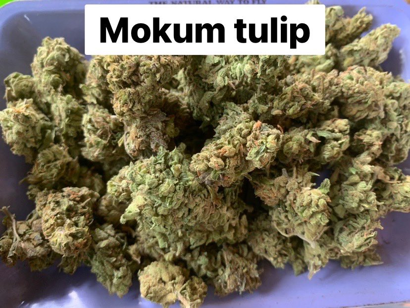 Nut_tp24's tweet photo. ✅Lows-Grade 150/G✅
☘️Jack Herer
☘️Gorilla Glue
☘️Mokum tulip
🔥MoonRock 250/G🔥

🛒 https://t.co/mxM4c7NcuG

#กัญชา #กัญชาออแกนิค #กัญชาog 
#กัญชาอุดร #กัญชาหนองคาย #อุดร 
#อุดรธานี #อําเภอเพ็ญ #สระใคร 
#หนองคาย https://t.co/x3IqANGVfn