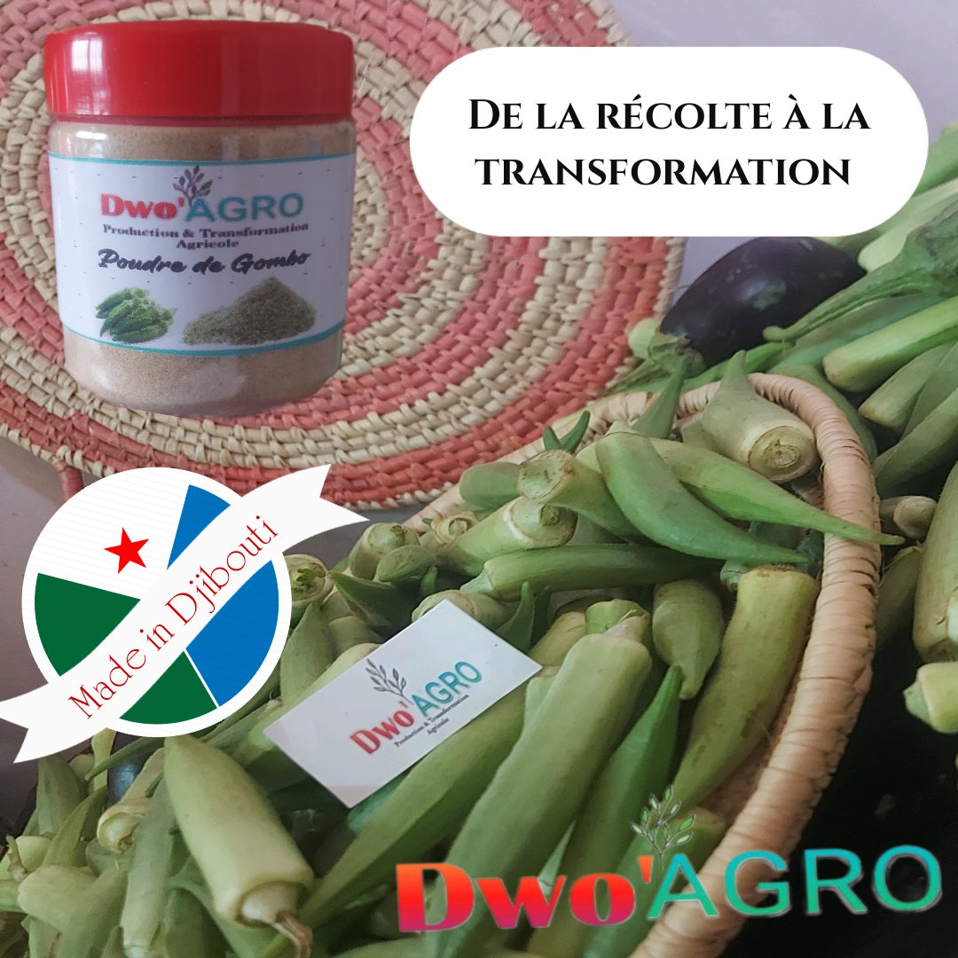 Kadrakhayrbadan's tweet photo. De la récolte à la transformation🍆🫑🥕🌽
DWO'AGRO🌿 spécialisée dans le domaine de l’agriculture et de la transformation agroalimentaire.
Le GOMBO en POUDRE.
Produit locaux.
#DwoAGRO #Djibouti #Damerjog #fruits
#Legume #agriculture #transformationagricole #consommationlocal https://t.co/HtodTFWpaD