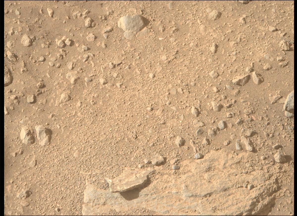 MarsMissionImgs's tweet photo. #PerseveranceRover image taken on #Sol700 at 3:35:52.806 PM with #MastcamZ #Mars #NASA #Space https://t.co/ssY6NQfSH3