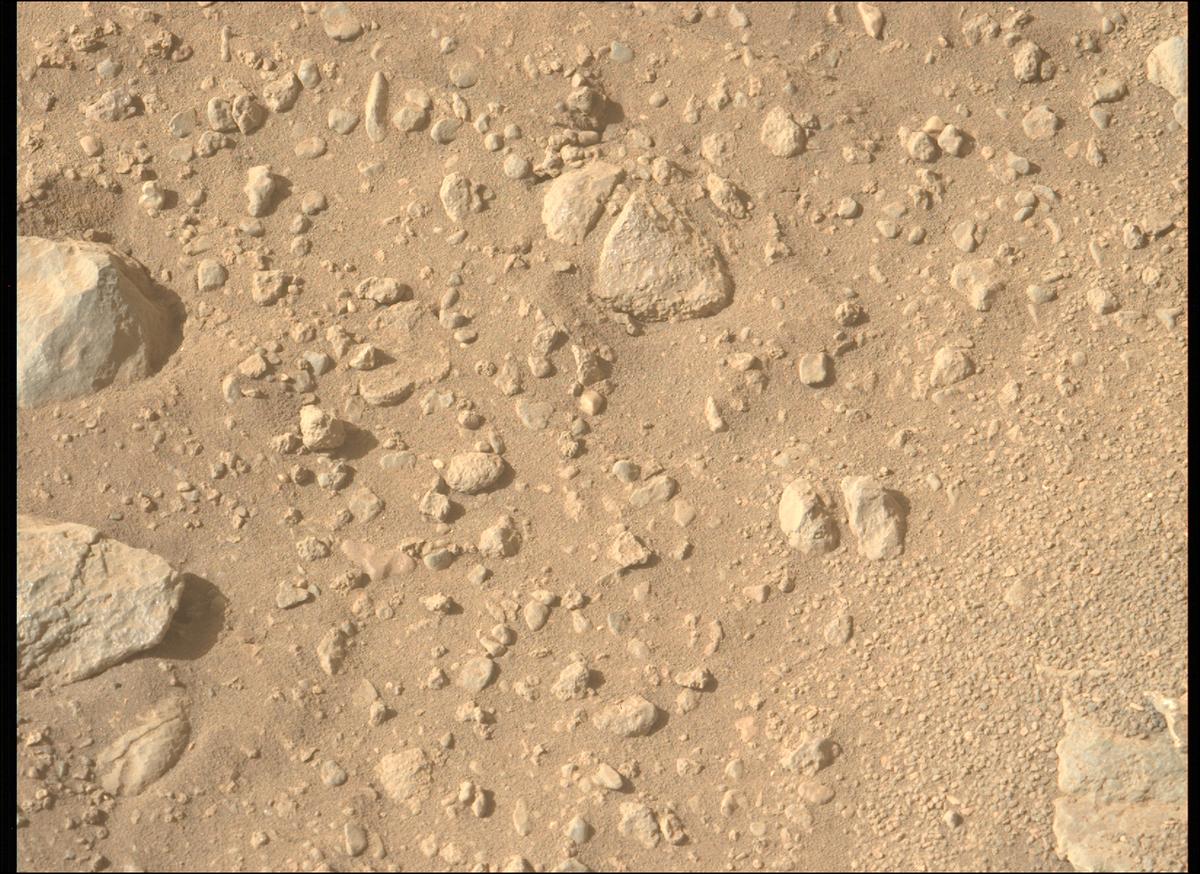 MarsMissionImgs's tweet photo. #PerseveranceRover image taken on #Sol700 at 3:35:52.806 PM with #MastcamZ #Mars #NASA #Space https://t.co/ssY6NQfSH3