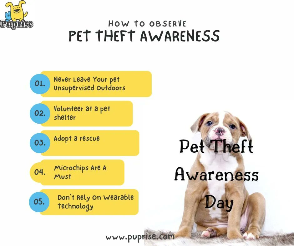 #PetTheftAwarenessweek runs from 14th to 21st of February. 

With pet theft and dognapping reaching alarming rates, Pet Theft Awareness Day is perfect to share resources about pet safety, and the actions we can take to recover stolen pets.

#Puprise #petstore #petparents