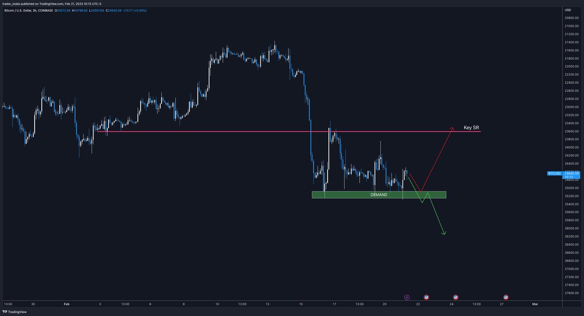Trader Koala tweet media