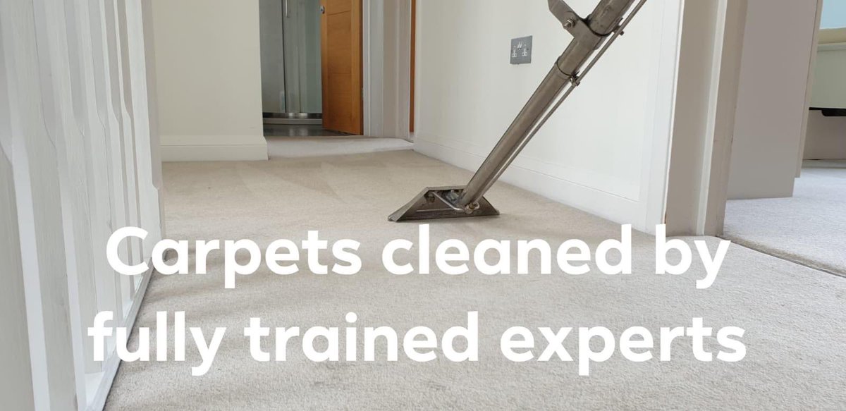 If your carpet cleaner isn’t prochem trained perhaps consider using one that is!
#prochem #carpetcleaning #wemeanclean