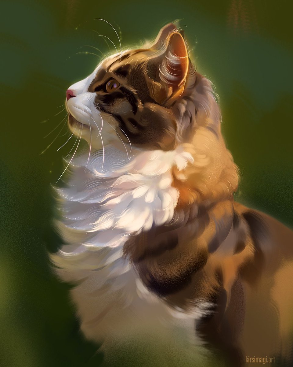 shrimpuart's tweet photo. study for my new brushpack🐱 https://t.co/r59i15WSEJ