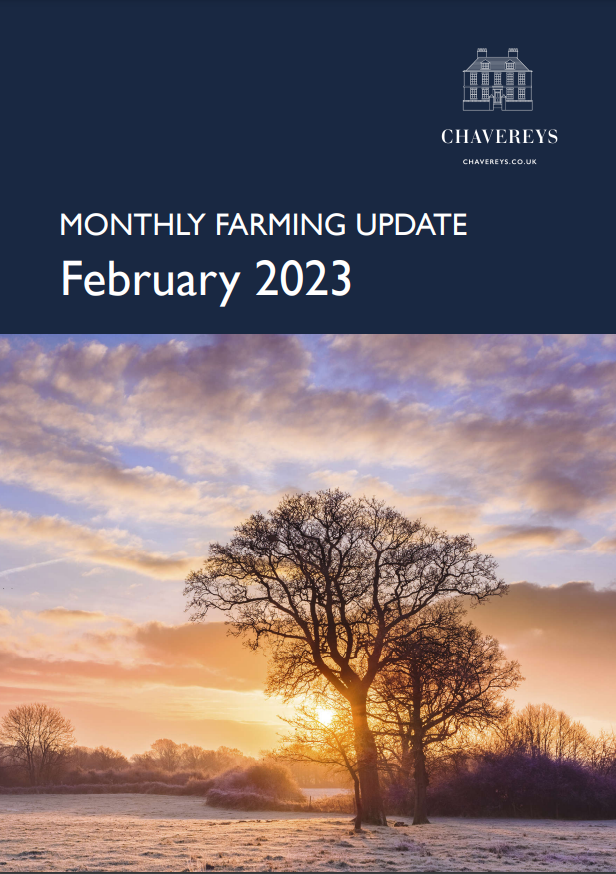 Chavereys tweet media