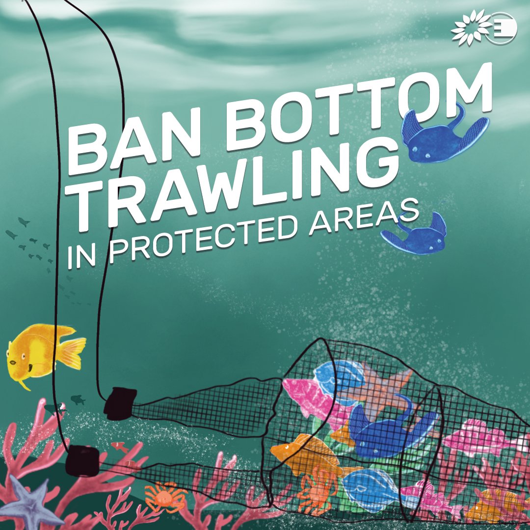 We call on the EU Commission to present a proposal for EU-wide legislation to end bottom trawling in protected areas. 'The Commission’s Action Plan presented today is a first step, but without binding legislation, the status of most marine ecosystems will continue to decline'