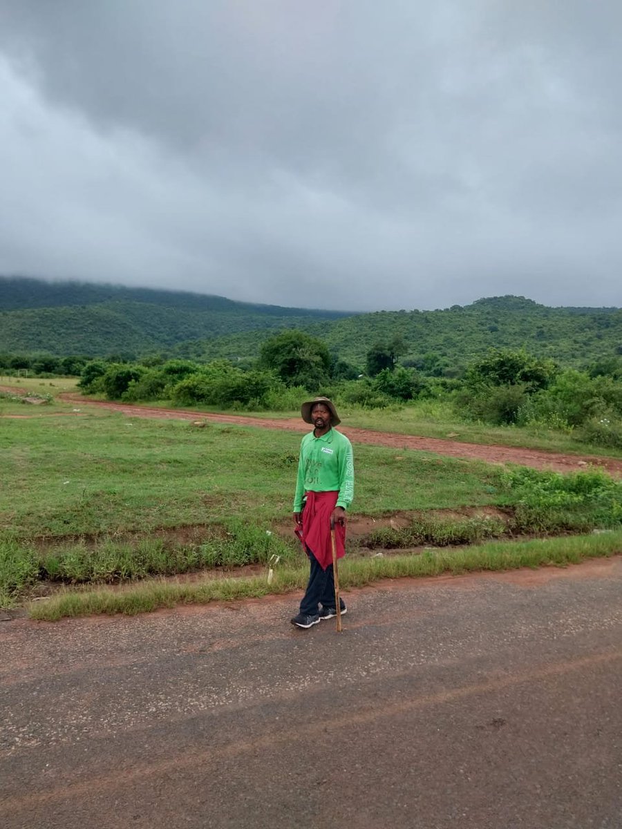 HeadlinesMzans's tweet photo. Just reached #thathevondoforest, sacred to the Venda people of Limpopo, above #lakefundudzi. Met with Mr. Ravhana, who shared his immense knowledge of indigenous trees and how they communicate with each other. Fascinating insights into the healing powers of these trees! #SaveSoil https://t.co/MaJ1zC0V7e