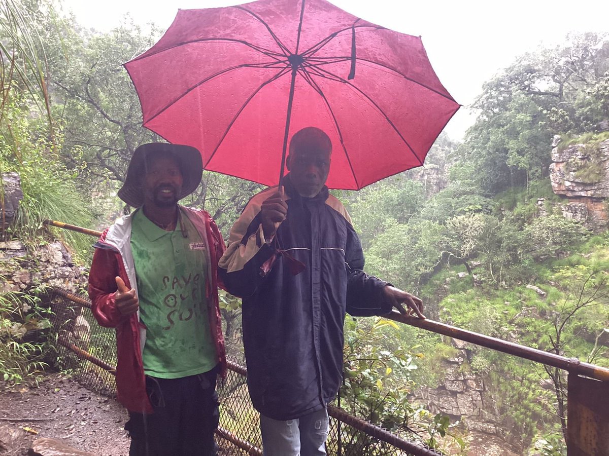 HeadlinesMzans's tweet photo. Just reached #thathevondoforest, sacred to the Venda people of Limpopo, above #lakefundudzi. Met with Mr. Ravhana, who shared his immense knowledge of indigenous trees and how they communicate with each other. Fascinating insights into the healing powers of these trees! #SaveSoil https://t.co/MaJ1zC0V7e