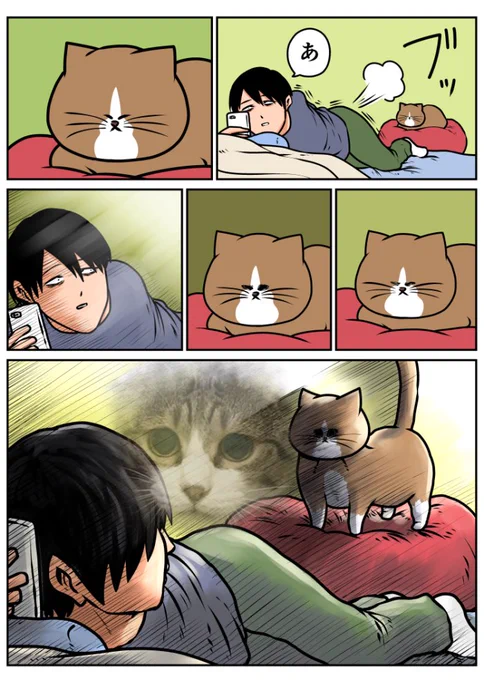 反応してほしくない時に反応する猫まとめ 