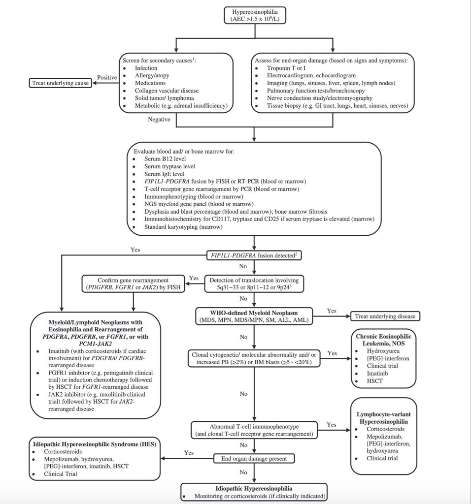 Uriel Suárez tweet media
