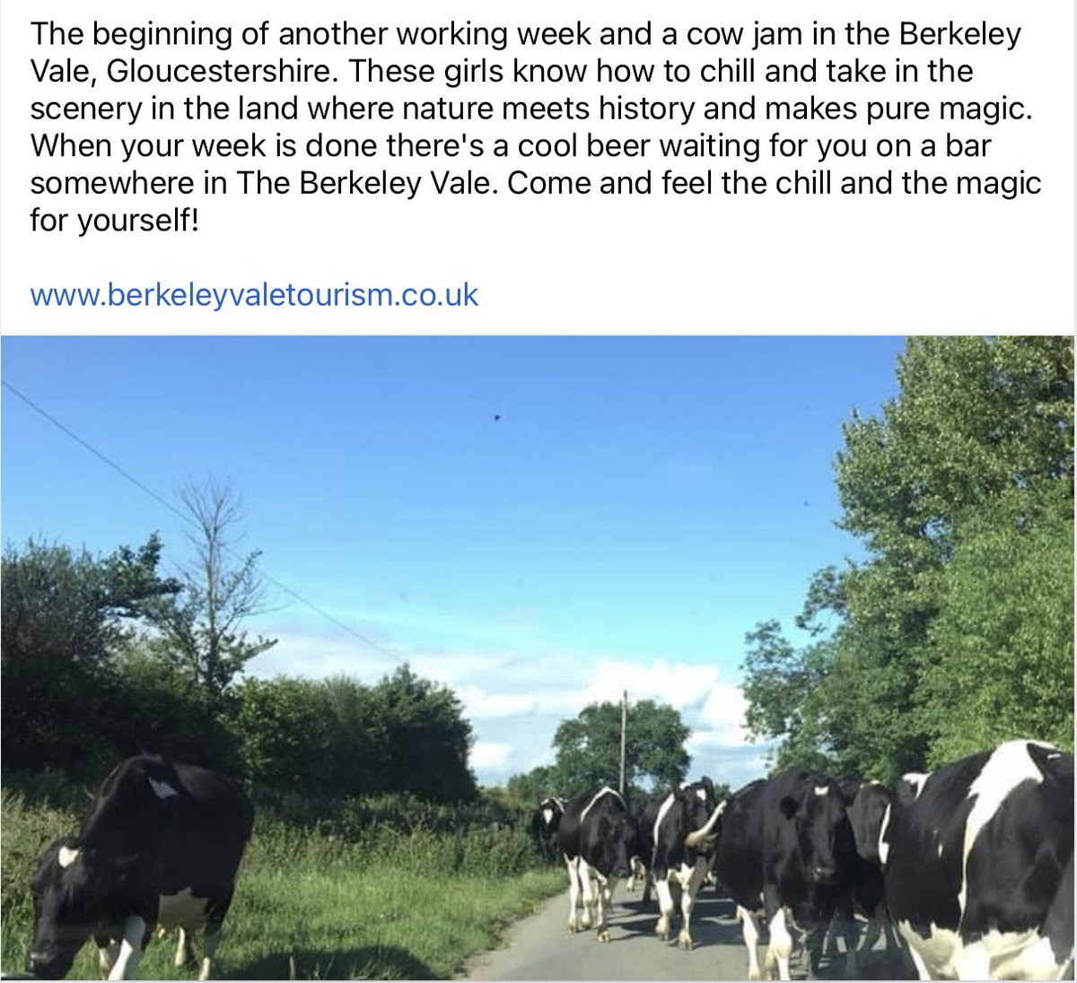 Berkeley Vale Tourism tweet media