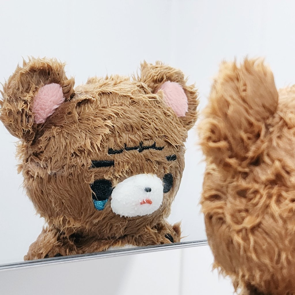 뻘 tweet media