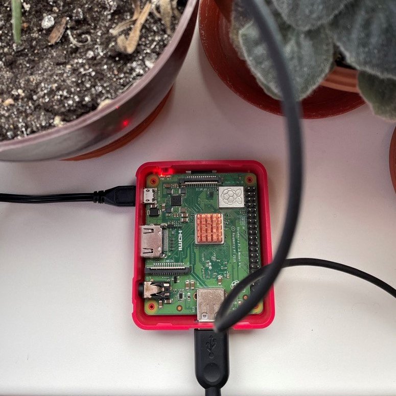 kinkpunk's tweet photo. Thanks a lot to BirdNET-Pi and @kahst. Now I can detect and classify birds near my feeder using my Raspberry Pi 3A+. You can do it too: https://t.co/AHJNdtLmiy https://t.co/66vjFcZJ0D #birdnet https://t.co/z6JfLJUwwr
