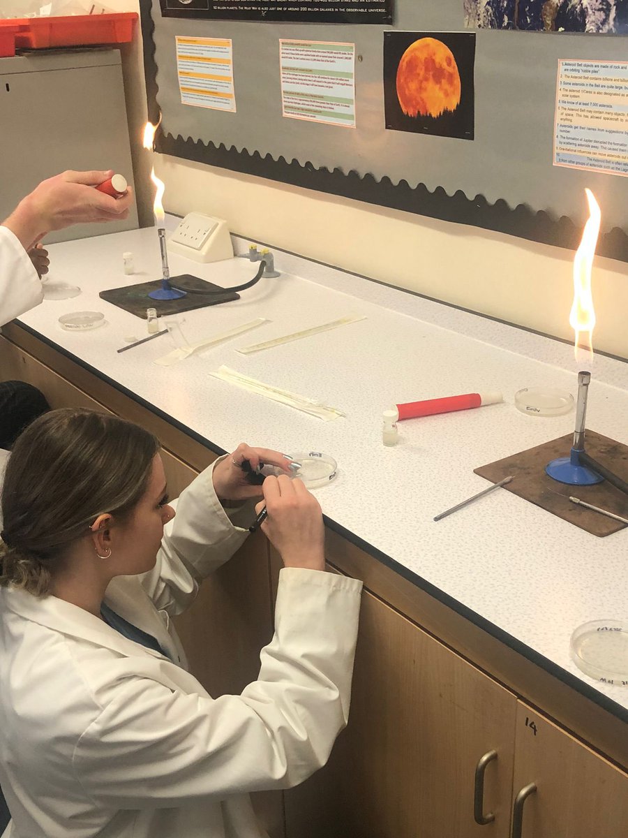 NBS_Herts's tweet photo. NBS Year 13 A Level Biologists practising microbiology and investigating antibiotics, plus a successful attempt at cloning a cauliflower! #NBSScience https://t.co/DgFhg1wzBG