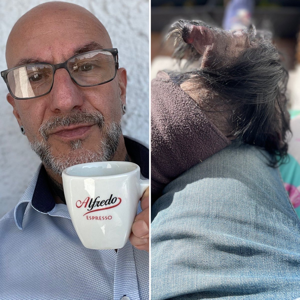 Mittagspause, Espresso und ein Crested auf dem Schoß…. Was willste mehr #chinesecrested #Enjoy