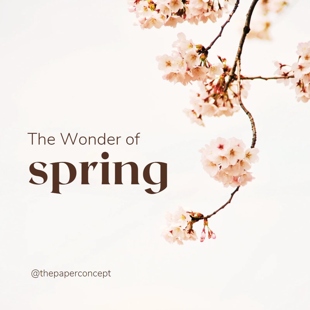 Thepaperconcept's tweet photo. Spring is on its way
so excuse the disarray. 

As we refresh, rejiggle and reflect
and look forward to the nature we respect. https://t.co/CMdZt9Vvqg