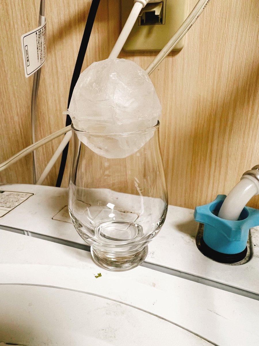 今さっき「待てよ……?これうちで作る氷入る……?」って思った結果 