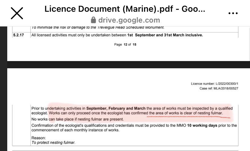 ‼️Urgent action needed to stop illegal disturbance of nesting Fulmars at #WhipsiderryCliffs ‼️
Whipsiderry, Newquay

<a href="/theresecoffey/">Thérèse Coffey</a> <a href="/DefraGovUK/">Defra UK</a> <a href="/Natures_Voice/">RSPB</a>
<a href="/ChrisGPackham/">Chris Packham</a> <a href="/michaelastracha/">Michaela Strachan</a> <a href="/BBCCornwall/">BBC Cornwall</a> <a href="/BBCSpringwatch/">BBC Springwatch</a> <a href="/SteveBackshall/">Steve Backshall</a> <a href="/Helenglovergb/">Helen Glover</a> <a href="/nationaltrust/">National Trust</a> <a href="/swcoastpath/">South West Coast Path Association</a>