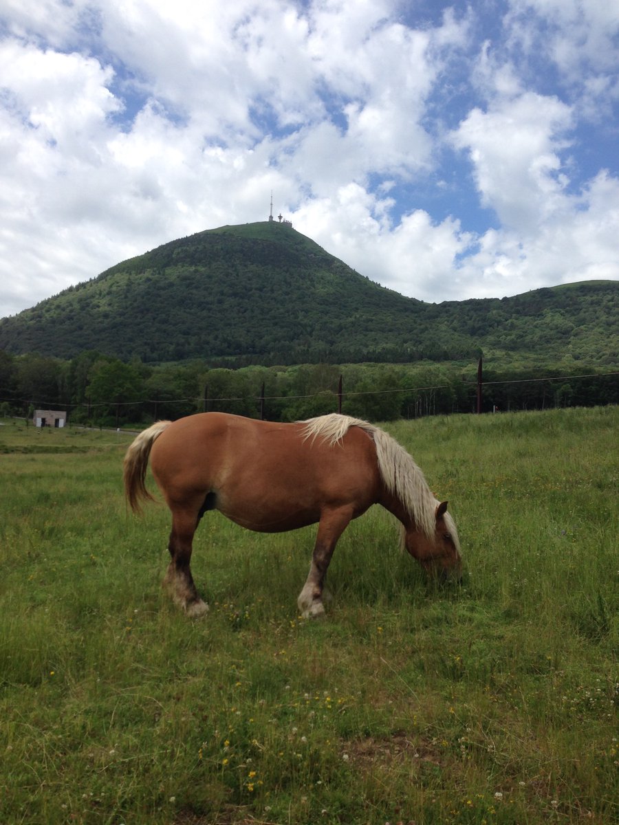 AngleDroit_'s tweet photo. Est-ce-que vous avez déjà bossé dans un cadre de travail particulièrement beau ? 

J’avais fait un job d’été au sommet du Puy-de-Dôme et tous les jours, j’avais vu sur la chaîne des Puys, c’était incroyable ❤️ https://t.co/9E1DdKomW4