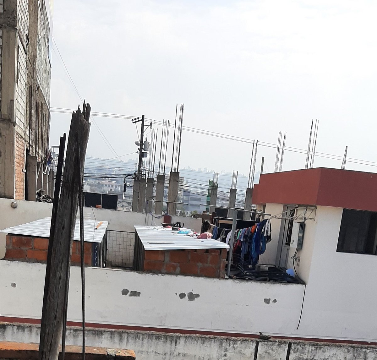 Vanecorralest's tweet photo. Esta permitido en latacunga tener criaderos de gallos de pelea en pleno centro de la ciudad?Hace tiempo fui al municipio a poner la queja, me hicieron llenar unos formularios y ahí se quedó. Un señor ha construido alrededor de 30 jaulas @gadlatacunga @AgriculturaEc @AgrocalidadEC https://t.co/fxi8RKbD2R