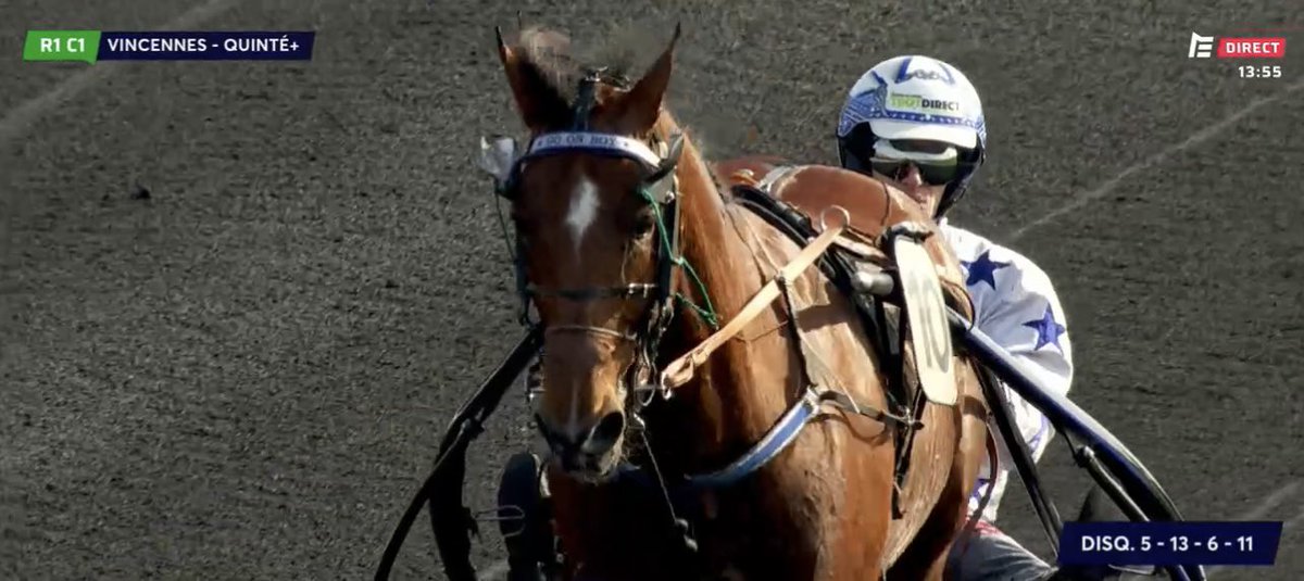 Haras De Sassy tweet media