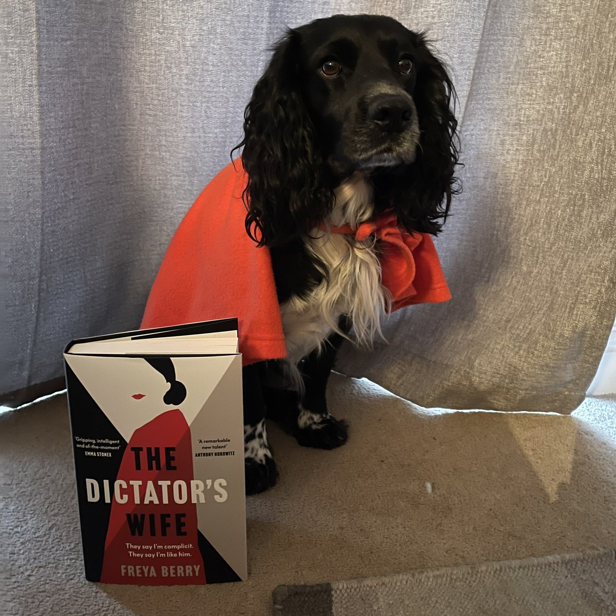CMCStanley's tweet photo. @FreyaBBooks @sarajcox Who wore it better? https://t.co/DqbZ5x3xAt