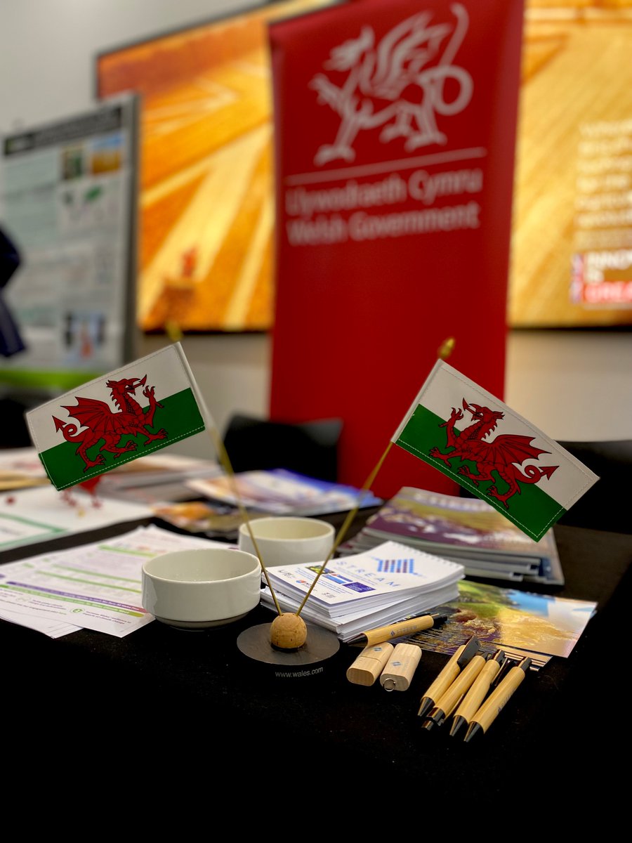 Welsh Government International 🏴󠁧󠁢󠁷󠁬󠁳󠁿 tweet media