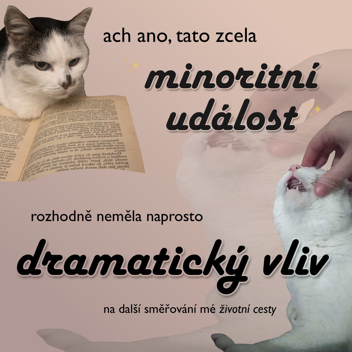 memozrnnost's tweet photo. https://t.co/DUvRR4lbuL