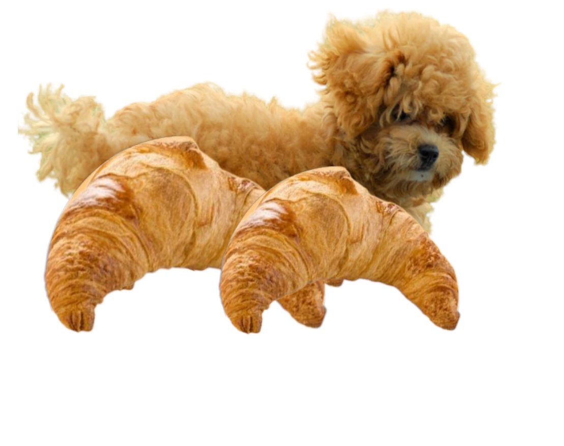 iongeodude's tweet photo. @mikegushansky That croissant looks like Poodle's legs.. want to sniff the tip of those toes so badly... https://t.co/GTmYukYdqh