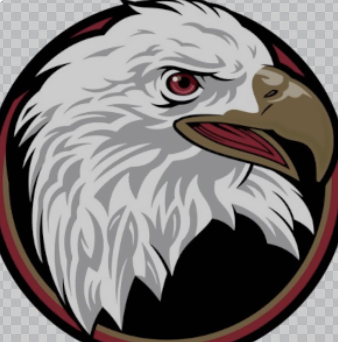 After a great visit this weekend I’m blessed to say I have received an offer from Bridgewater!! <a href="/CoachLemn/">Scott Lemn</a> <a href="/KyleERigney/">Coach Rigney</a> <a href="/coachasnow/">❄️⛄️</a> <a href="/abyeager87/">Andrew Yeager</a>