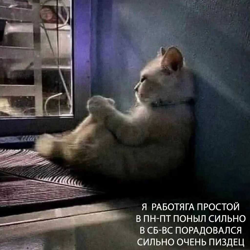 nikafm_'s tweet photo. ))) https://t.co/3axi8pYrpU
