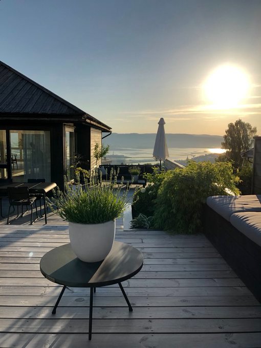 GM to everyone ☀️