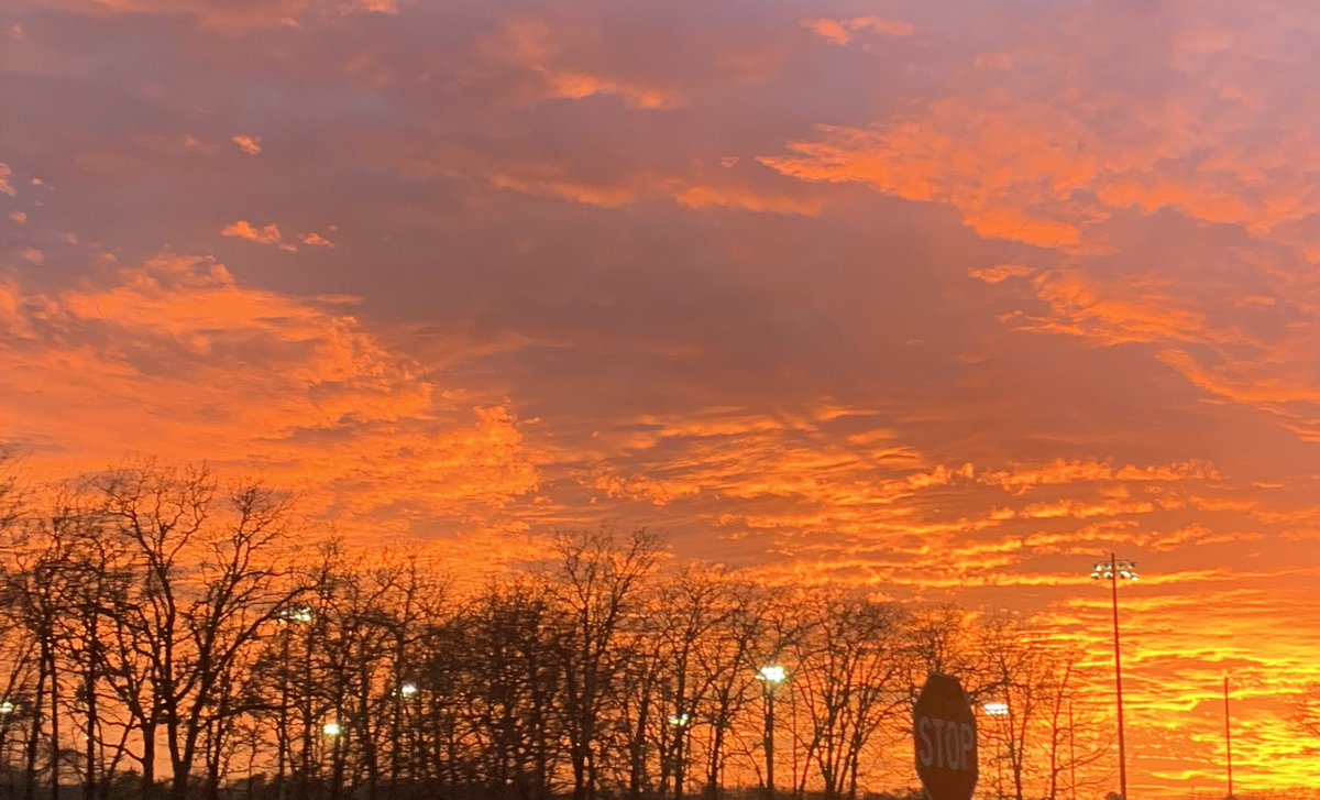 Laurie Henigan tweet media