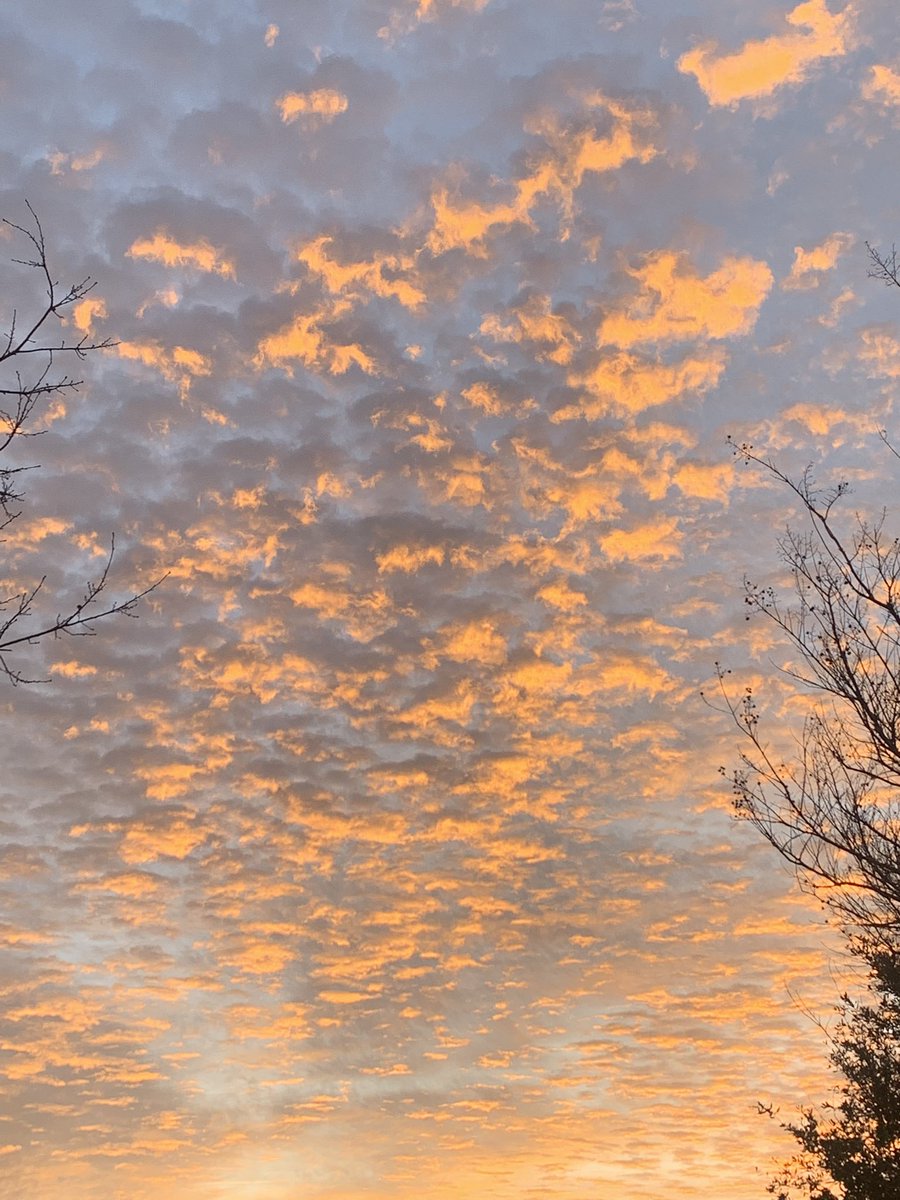 Laurie Henigan tweet media