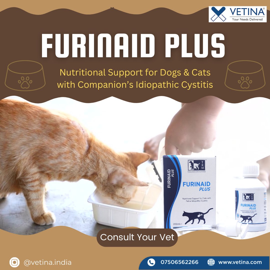VetinaHealthca1's tweet photo. Furinaid Plus provides nutritional support for dogs and cats with Companion’s Idiopathic Cystitis.
For more information, visit our website https://t.co/88QM52Bunt or contact us at 07506562266 / 09373756953

#vetina  #vets #chennai #dogdiscomfort #catproblems #bangalore #delhi https://t.co/V400Vun0pn