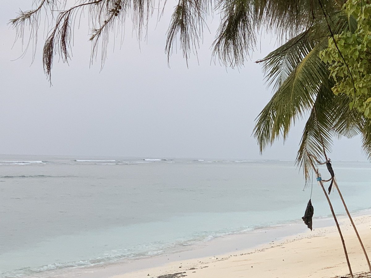 mehranshu's tweet photo. When your holiday is made up of pics out of a #brochure #agathi #lakshdweep #pristinebeaches #aquamarinewater #timeofourlives #twentyfive https://t.co/i2wVHDuJz6