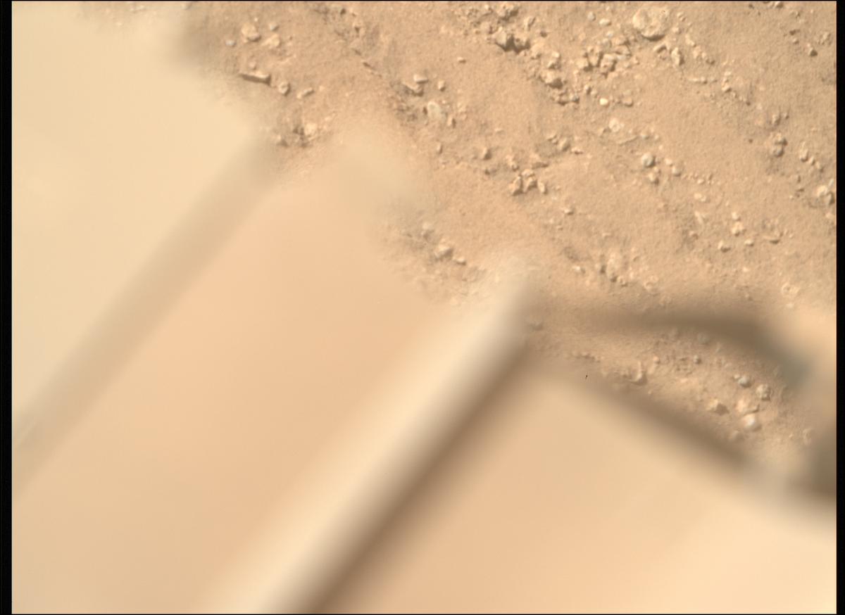 MarsMissionImgs's tweet photo. #PerseveranceRover image taken on #Sol700 at 3:36:38.549 PM with #MastcamZ #Mars #NASA #Space https://t.co/PrhcuD63ek