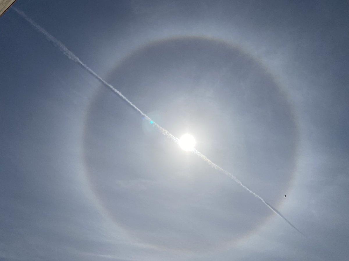BoRoChaba's tweet photo. Check out what I spotted in Dubai today. Rare- SUN HALO 😍

#sun #halo #Dubai #UAE #HyderabadHalo #HaloSpotlight #halosun https://t.co/nx9qTweUBb