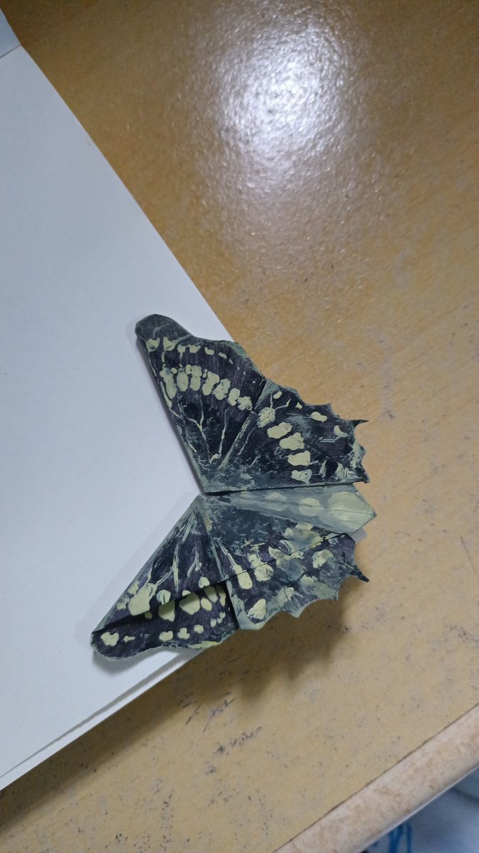studykeitt's tweet image. fiz um marca páginas de origami, pintei pra ficar igual a minha espécie fav de borboleta