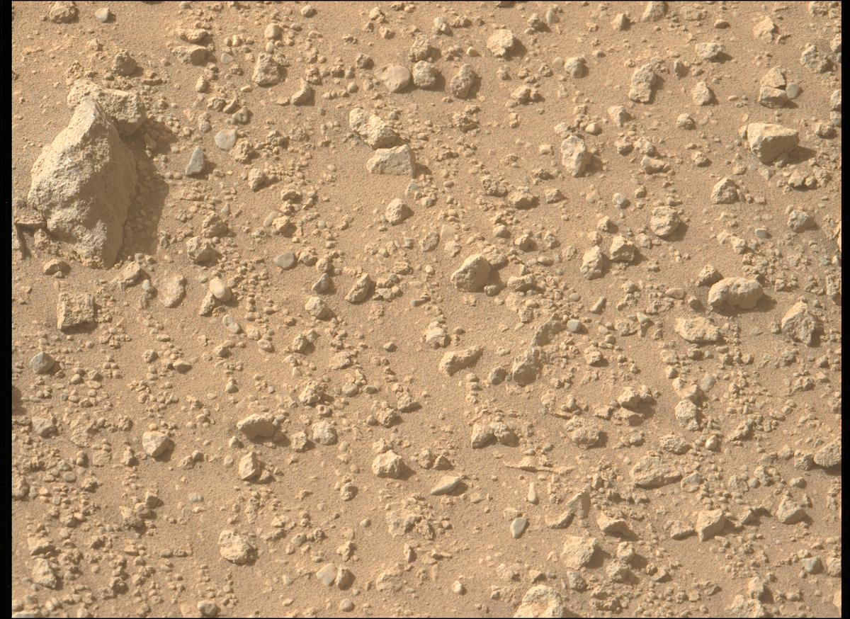 MarsMissionImgs's tweet photo. #PerseveranceRover image taken on #Sol700 at 3:37:11.639 PM with #MastcamZ #Mars #NASA #Space https://t.co/NJRQ2TqKeJ