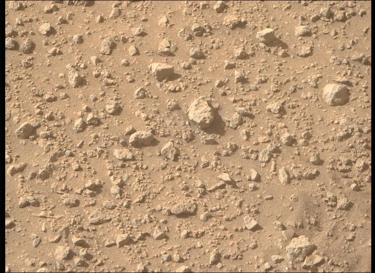 MarsMissionImgs's tweet photo. #PerseveranceRover image taken on #Sol700 at 3:37:11.639 PM with #MastcamZ #Mars #NASA #Space https://t.co/NJRQ2TqKeJ