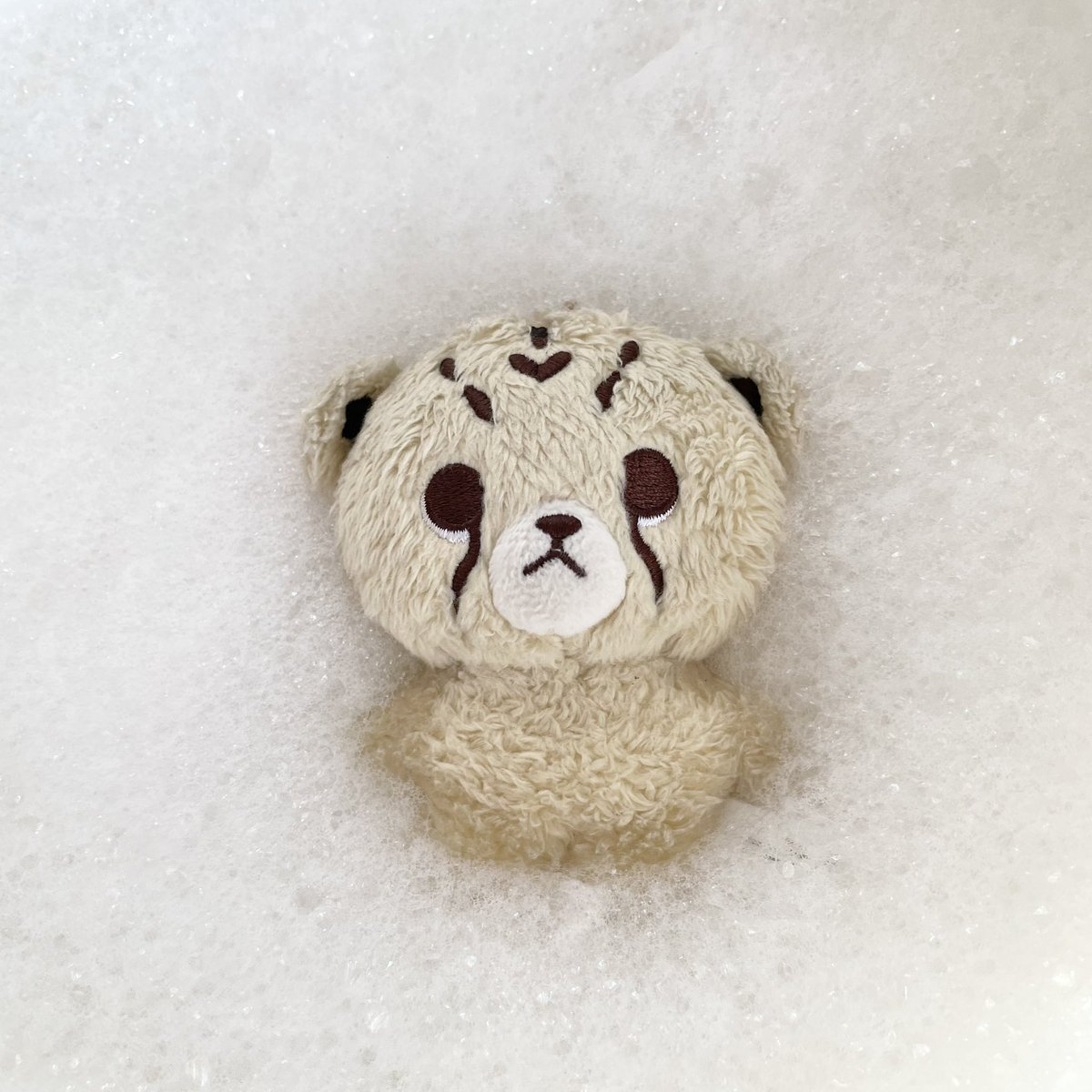 l0vleey's tweet photo. 🛁 —bubble bath for the cheetah https://t.co/FJmrNAmFdw