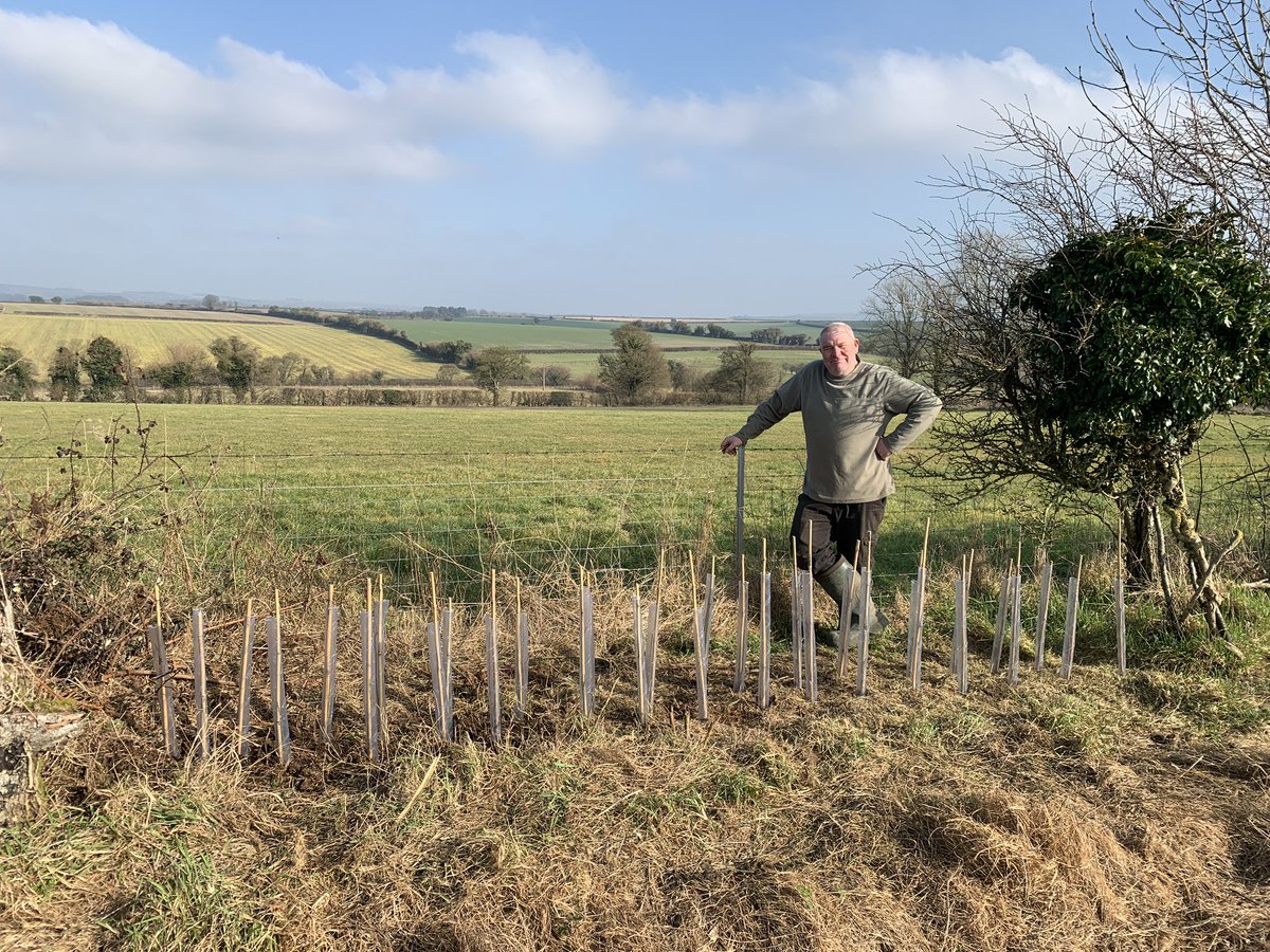 CranborneChaseCider tweet media