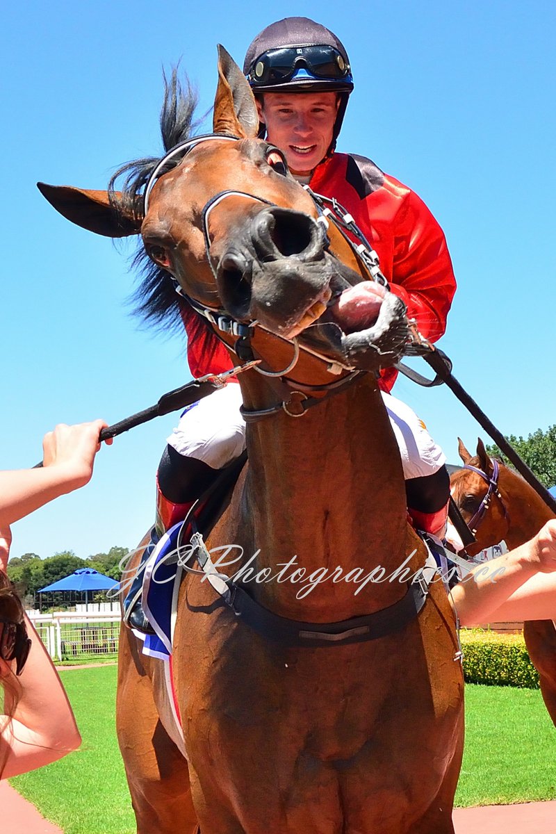 JC Photos 0833908945 tweet media