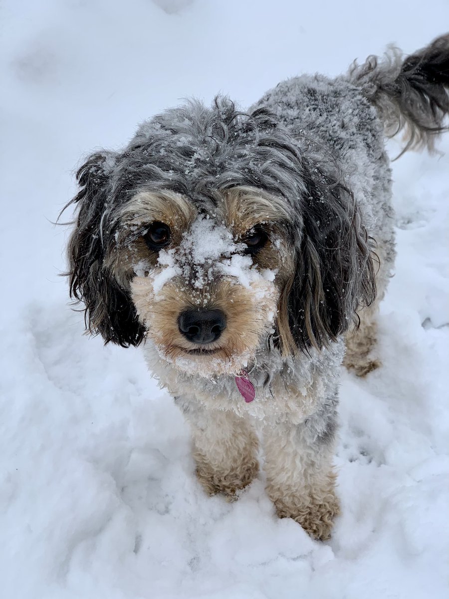 Jennifer Hellman tweet media